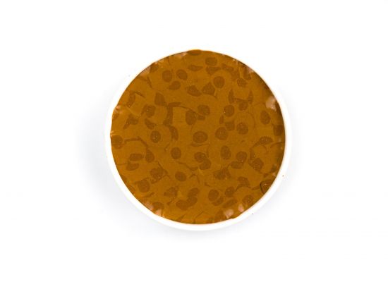 Kremer Color Chips - Raw Sienna, Italian