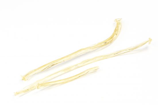 Cola de esturión pura