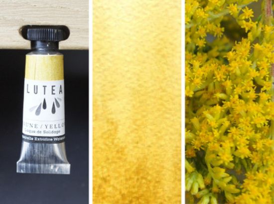 Lutea Aquarelle, Jaune or