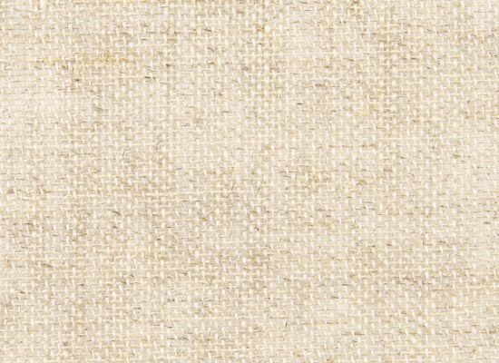 Linen Canvas light L516