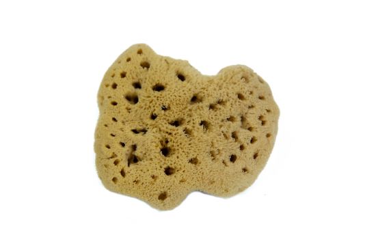 Éponges naturelles