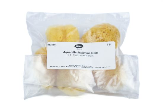 Natural Sponge, small
