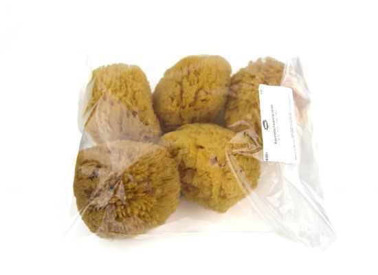 Natural Sponge, medium