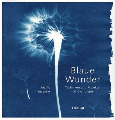 Marlis Maehrle: Blaue Wunder