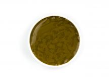 Kremer Color Chips - Green Earth light