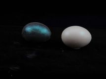 PYRISMA® T40-25 SW Color Space Turquoise