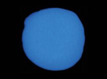 Nach-Leucht-Pigment Blau