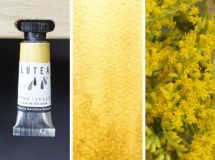 Lutea Plant-Watercolor, Golden Yellow