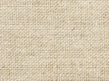 Linen Canvas medium L510