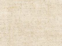 Linen Canvas light L516