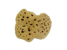 Natural Sea Sponge