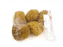 Natural Sponge, medium
